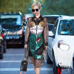 Mesh/Sheer Zipper Dress